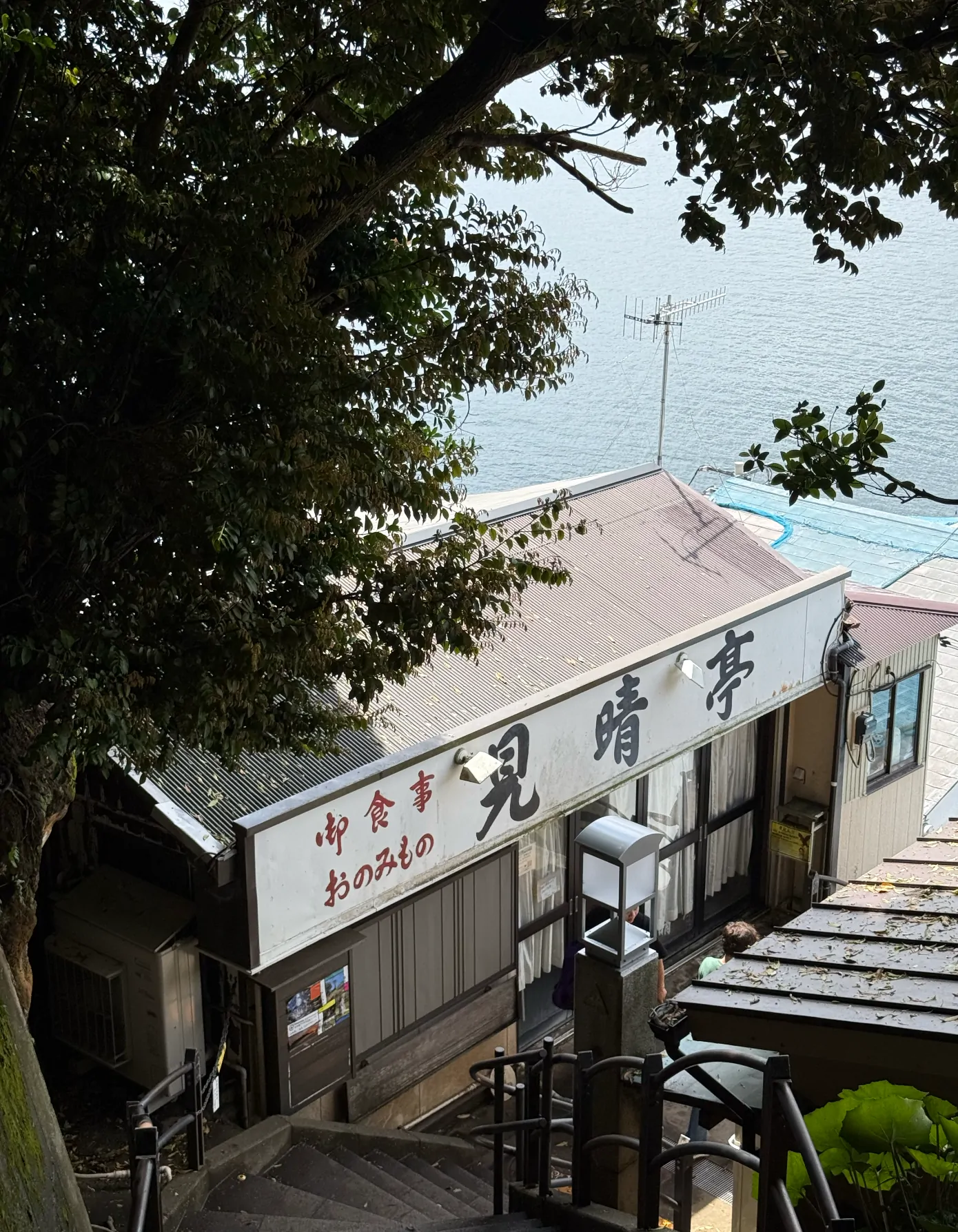 我的 Solo Trip To Japan